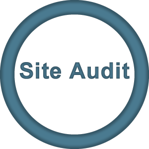 Site Audit